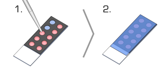 Microculture array protocol - live cell imaging